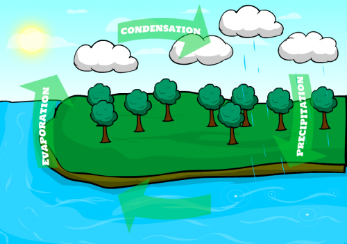The-Water-Cycle(2)